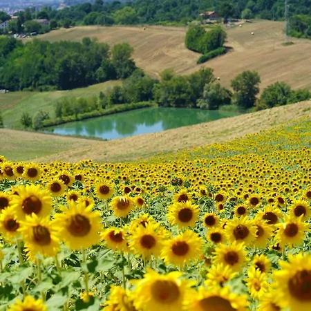 Il Sarale - Vista Sulle Colline Di B&B 4*