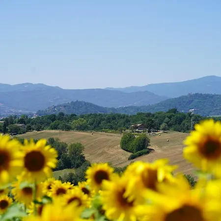 B&B Il Sarale - Vista Sulle Colline Di 4*