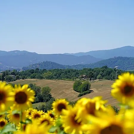 Il Sarale - Vista Sulle Colline Di Bed and breakfast 4*