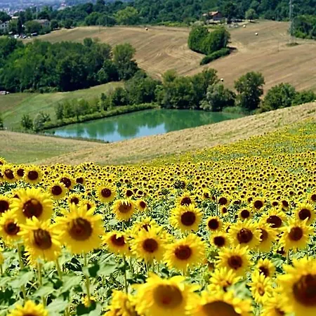 Bed and breakfast Il Sarale - Vista Sulle Colline Di