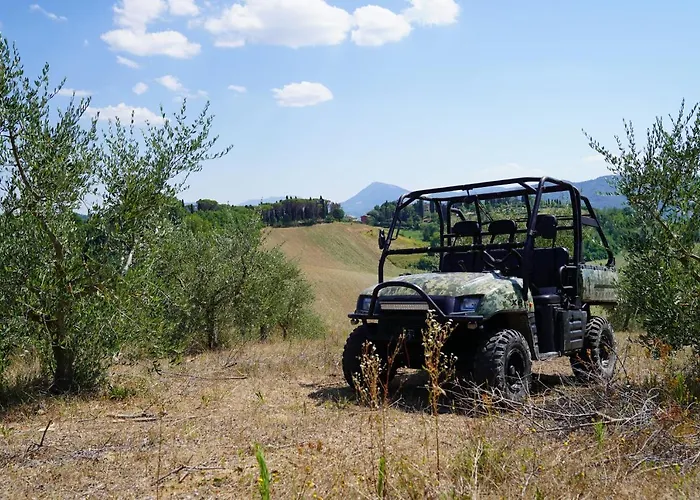 Bed & Breakfast Il Sarale - Vista Sulle Colline Di Di Castello 4*